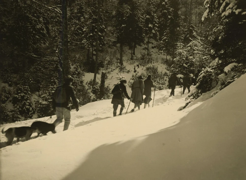Going hunting in Życzan&oacute;w